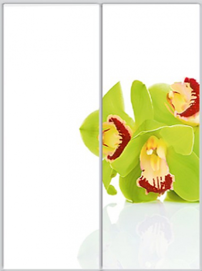 

Шкаф купе Luxe Studio Стандарт-1 Фотопечать Природа-3 2000x2100x450 двухдверный