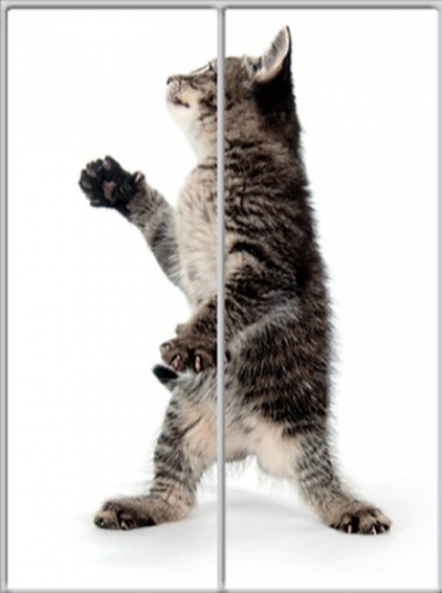 

Шкаф-купе Luxe Studio Стандарт-1 Фотопечать Животные-12 1500x2100x450 двухдверный