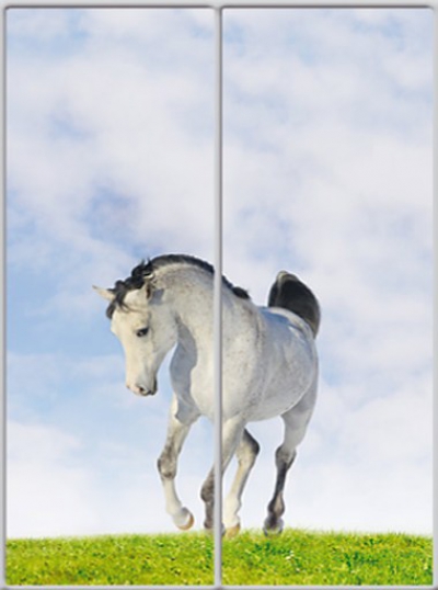 

Шкаф купе Luxe Studio Стандарт-1 Фотопечать Животные-4 1100x2300x450 двухдверный