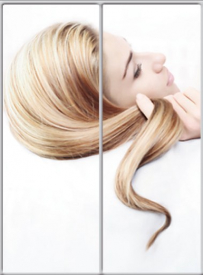 

Шкаф купе Luxe Studio Стандарт-1 Фотопечать Салон красоты 1400x2300x450 двухдверный