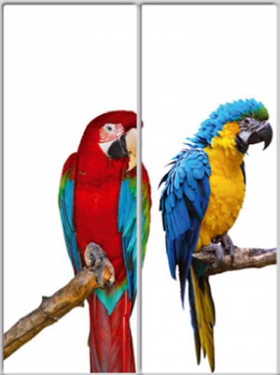 

Шкаф купе Luxe Studio Стандарт-1 Фотопечать Животные-8 1400x2300x450 двухдверный