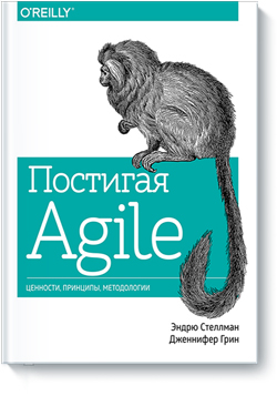 

Постигая Agile. Ценности, принципы, методологии