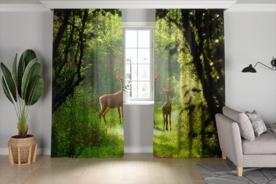 

Фотоштора Олени