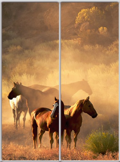 

Шкаф купе Luxe Studio Стандарт-1 Фотопечать Животные-3 1400x2400x450 двухдверный