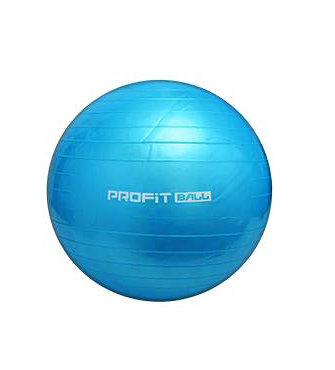 

Мяч для фитнеса фитбол Profi MS0276 65 см серебристый