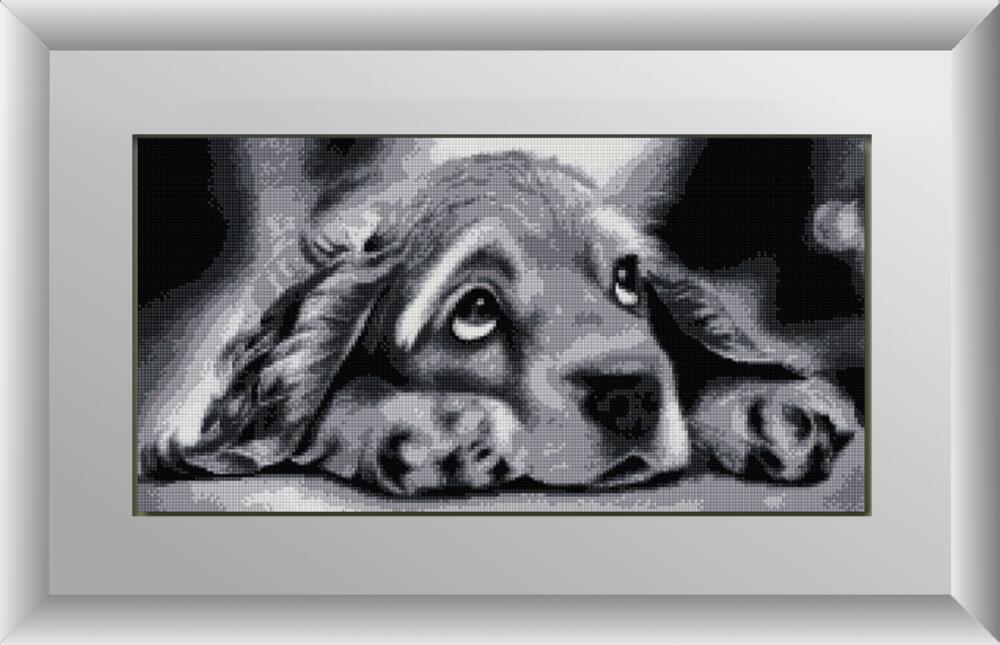 

Набор алмазной живописи Dream Art Заскучал