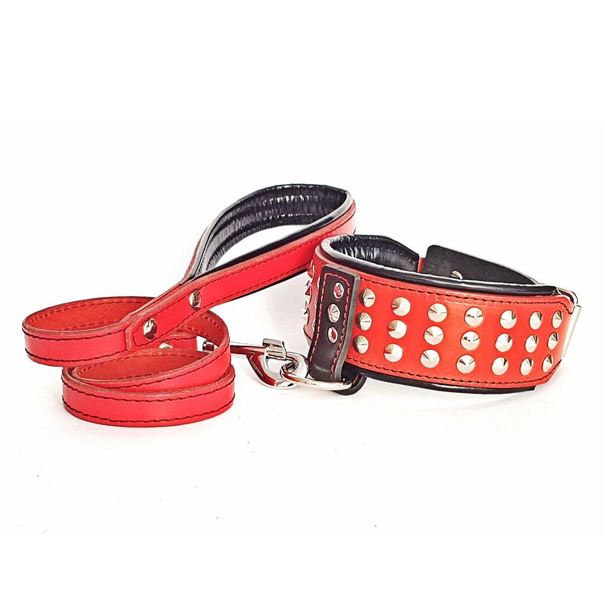 

Ошейник с поводком для собаки Lockdog S (16-29 см) Серый 000013761