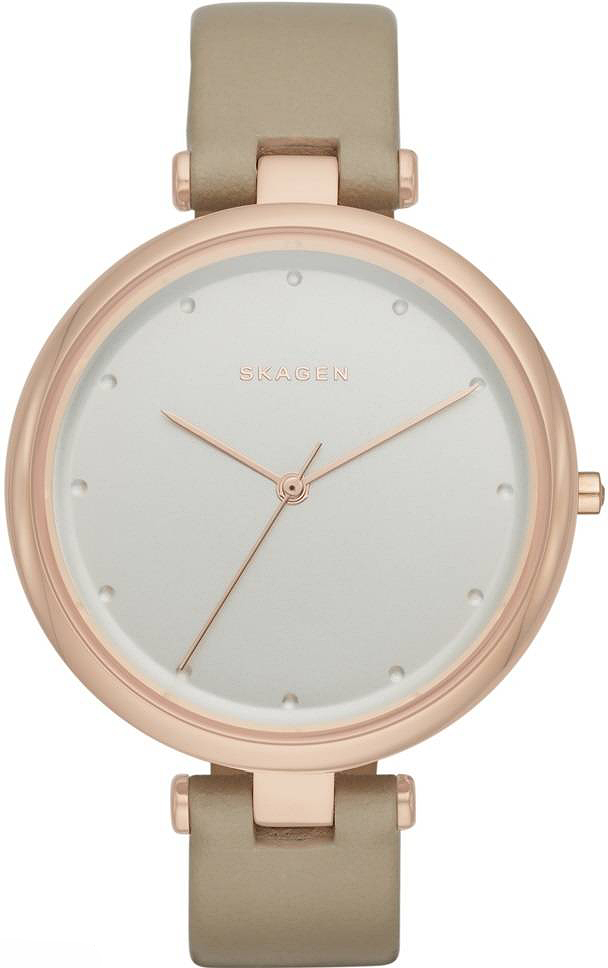 

Часы Skagen SKW2484