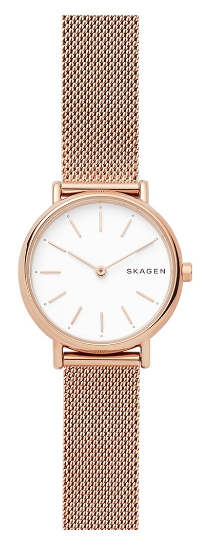

Часы Skagen SKW2694