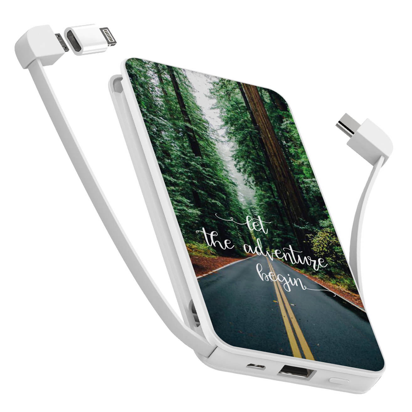 

УМБ Power Bank (повербанк) ZIZ Начало приключений 10000 мАч