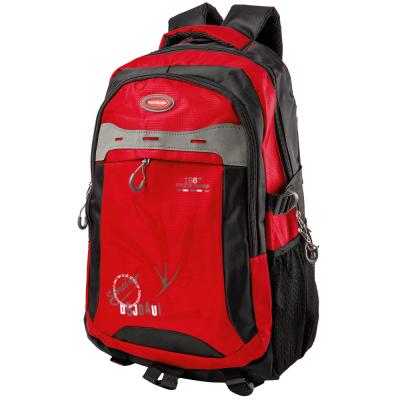 

Рюкзак спортивный Valiria Fashion DETAT2106-1