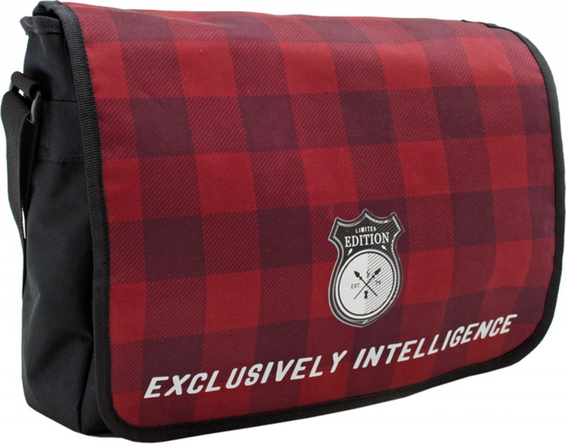 

Сумка молодежная YES TB-13 "Checker", 35x27x10см