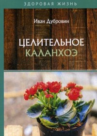 

Целительное каланхоэ (18277869)