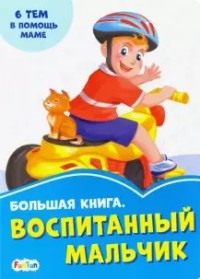 

Большая книга. Воспитанный мальчик (18279004)
