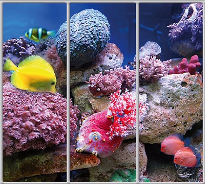 

Шкаф купе Luxe Studio Стандарт-1 Фотопечать Море 2100x2200x450 трехдверный