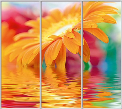 

Шкаф купе Luxe Studio Стандарт-1 Фотопечать Природа-215 2100x2000x450 трехдверный