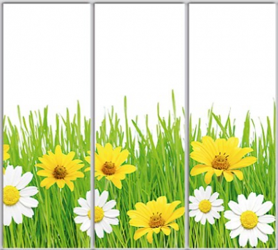 

Шкаф купе Luxe Studio Стандарт-1 Фотопечать Природа-189 2100x2000x450 трехдверный