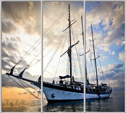 

Шкаф купе Luxe Studio Стандарт-1 Фотопечать Транспорт-5 2100x2100x450 трехдверный