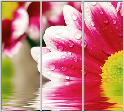 

Шкаф купе Luxe Studio Стандарт-1 Фотопечать Природа-55 2100x2000x450 трехдверный