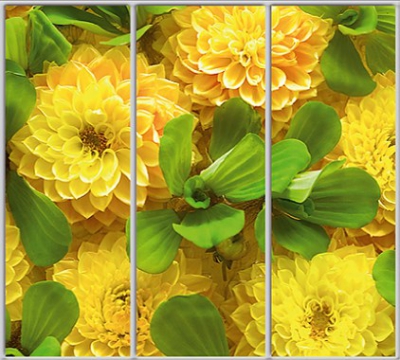 

Шкаф купе Luxe Studio Стандарт-1 Фотопечать Природа-66 2100x2000x450 трехдверный