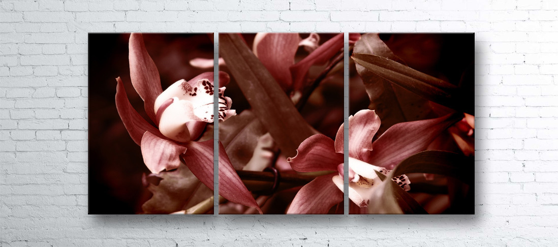 

Модульная картина на холсте 3 в 1 Красная орхидея 100х180 см