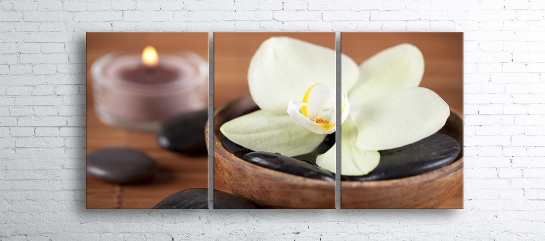 

Модульная картина на холсте 3 в 1 Белая орхидея 100х180 см