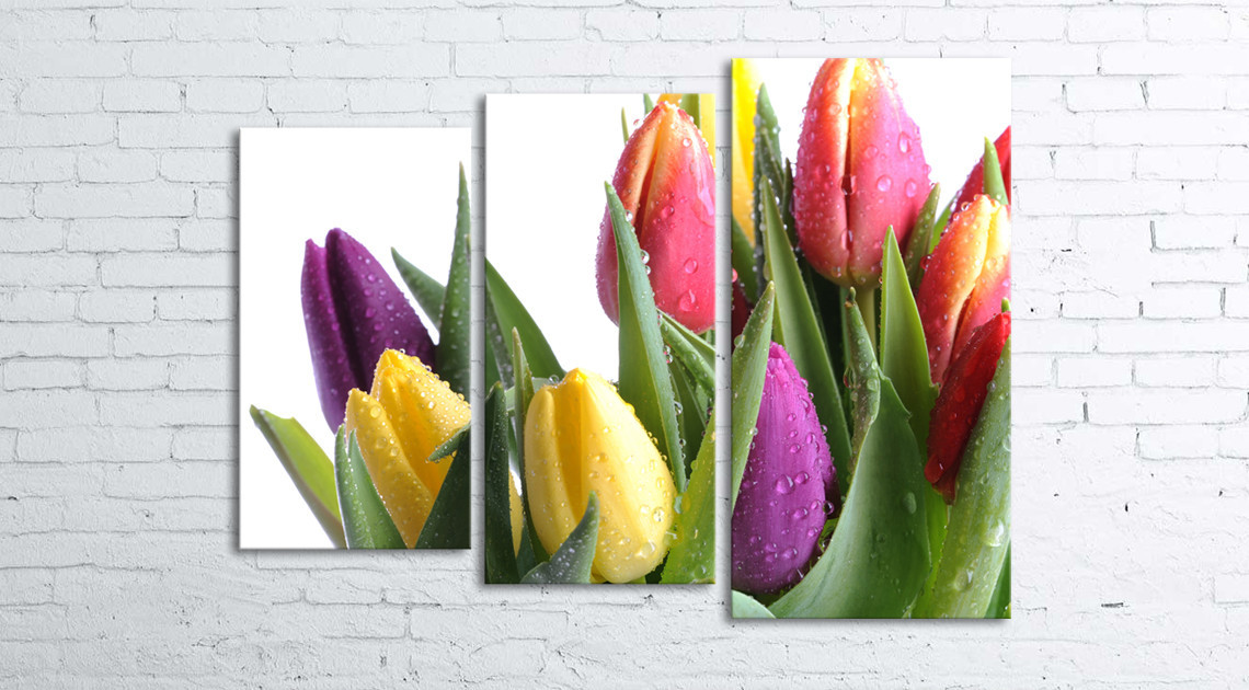 

Модульная картина на холсте 3 в 1 Тюльпани на белом 80х106 см