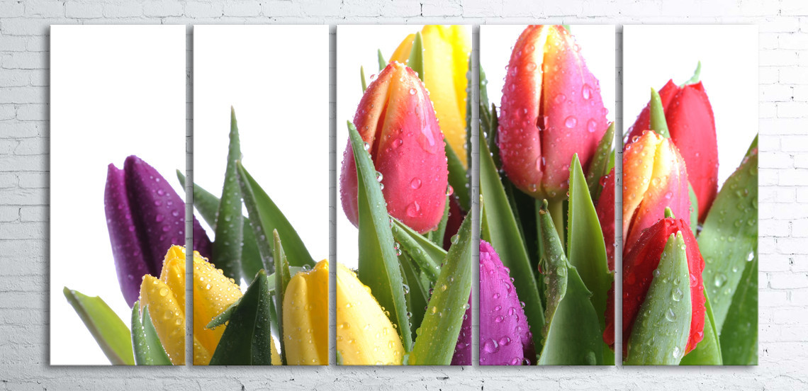 

Модульная картина на холсте 5 в 1 Тюльпани на белом 100х200 см