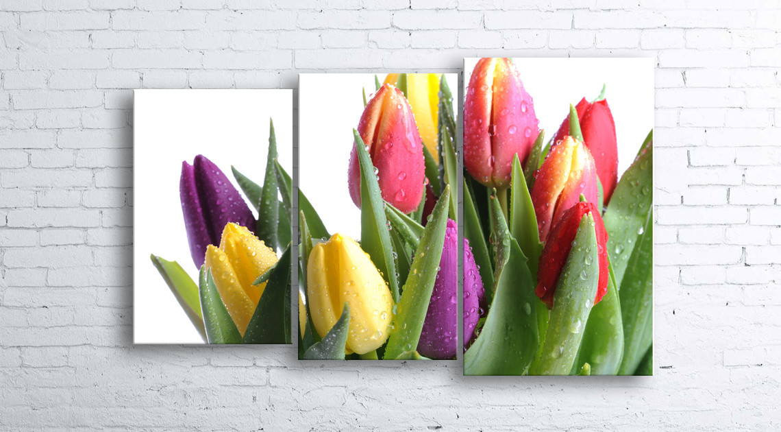 

Модульная картина на холсте 3 в 1 Тюльпани на белом 100х160 см