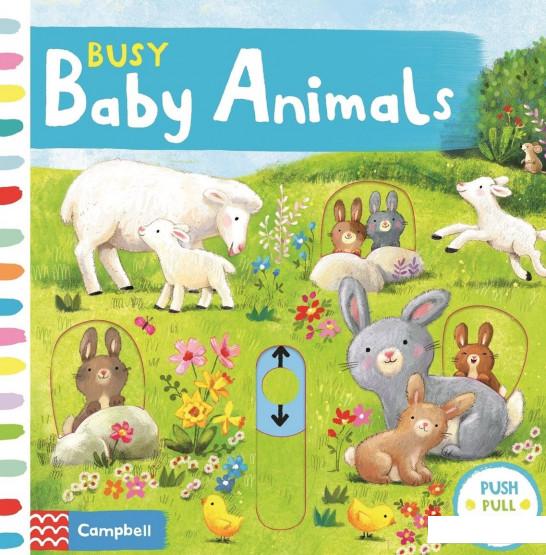 

Busy Baby Animals (982285)
