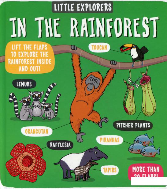 

In the Rainforest (1053038)