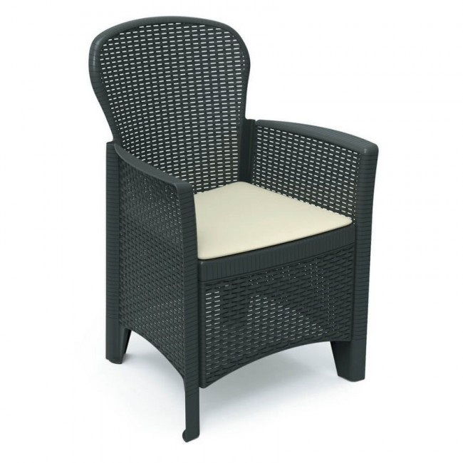 

Кресло Bica Folia 60x58x89 см Темно-серое (0300-2)