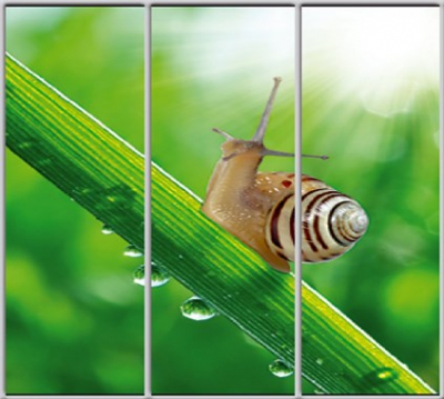 

Шкаф купе Luxe Studio Стандарт-1 Фотопечать Животные-41 2200x2100x450 трехдверный