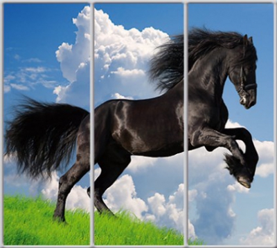 

Шкаф купе Luxe Studio Стандарт-1 Фотопечать Животные-10 2200x2100x450 трехдверный