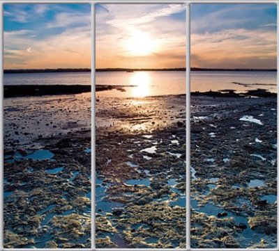 

Шкаф купе Luxe Studio Стандарт-1 Фотопечать Природа-51 2200x2100x450 трехдверный