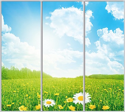 

Шкаф купе Luxe Studio Стандарт-1 Фотопечать Природа-220 2200x2200x450 трехдверный