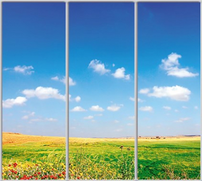 

Шкаф купе Luxe Studio Стандарт-1 Фотопечать Природа-121 2200x2300x450 трехдверный