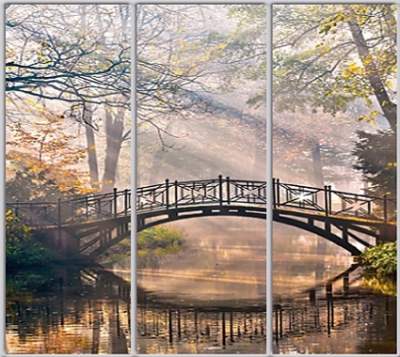 

Шкаф купе Luxe Studio Стандарт-1 Фотопечать Природа-177 2200x2200x450 трехдверный