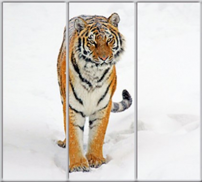 

Шкаф купе Luxe Studio Стандарт-1 Фотопечать Животные-19 2200x2300x450 трехдверный