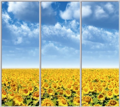 

Шкаф купе Luxe Studio Стандарт-1 Фотопечать Природа-122 2200x2100x450 трехдверный