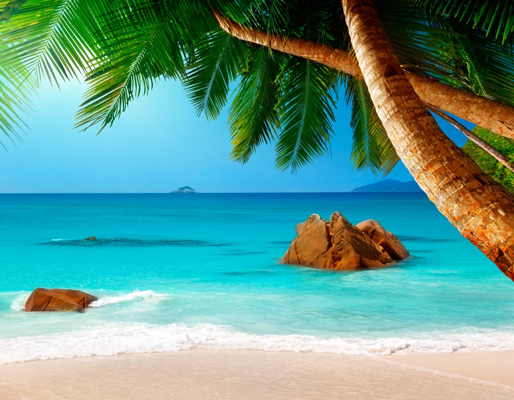 

Фотообои WS Wallpaper Пляж 360*260 (31045) Глянец