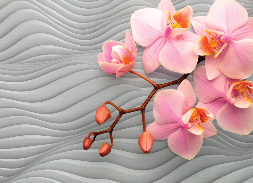 

Фотообои WS Wallpaper 3D орхидеи 360*260 (31013) Глянец