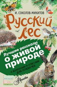 

Русский лес (14058876)