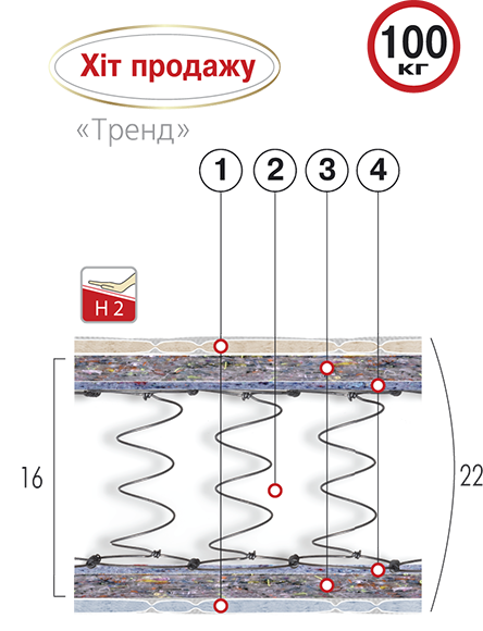 

Матрас ортопедический Велам Тренд 120x200 см (4482)