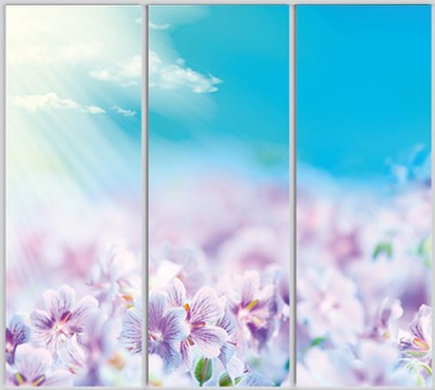 

Шкаф купе Luxe Studio Стандарт-1 Фотопечать Природа-139 2200x2400x450 трехдверный