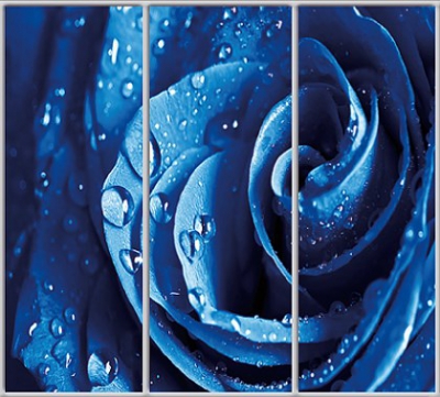 

Шкаф купе Luxe Studio Стандарт-1 Фотопечать Природа-151 2300x2400x450 трехдверный