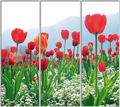 

Шкаф купе Luxe Studio Стандарт-1 Фотопечать Природа-108 2200x2400x450 трехдверный