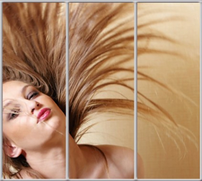 

Шкаф купе Luxe Studio Стандарт-1 Фотопечать Салон красоты-7 2300x2400x450 трехдверный
