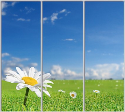 

Шкаф купе Luxe Studio Стандарт-1 Фотопечать Природа-119 2300x2400x450 трехдверный