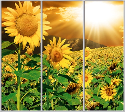 

Шкаф купе Luxe Studio Стандарт-1 Фотопечать Природа-11 2300x2000x450 трехдверный